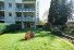 Hauptbild Barrierearme 3-Raum-Wohnung mit Terrasse in Marienthal