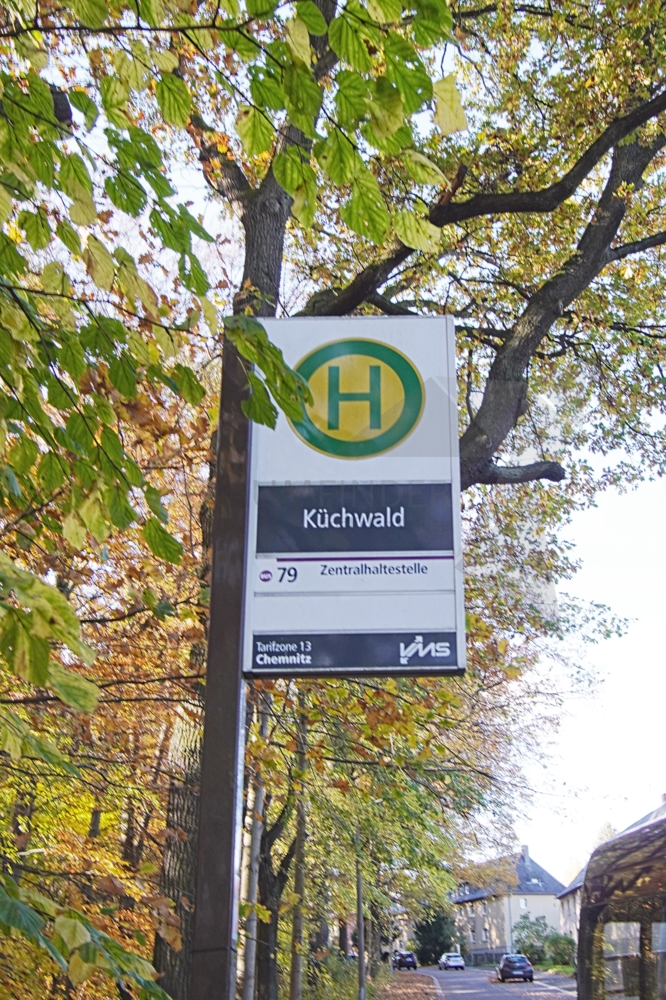 �PNV Linie 79 Erdgeschosswohnung Chemnitz