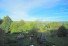 Hauptbild Gem�tliche, gro�z�gige 2 Raum Wohnung mit Tageslichtbad und Loggia in ruhiger Lage