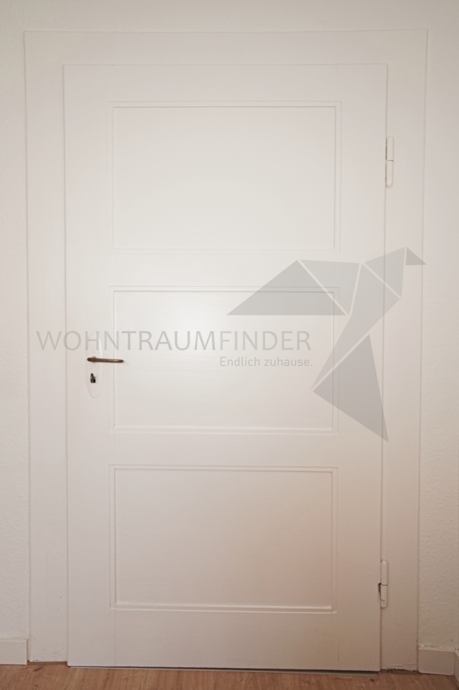 alte, historische Zimmert�ren Etagenwohnung Chemnitz