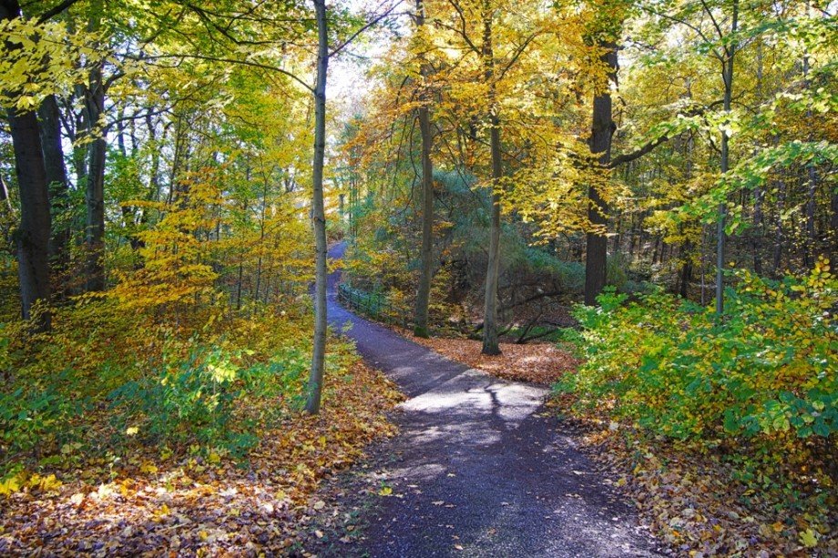 K�chwald Etagenwohnung Chemnitz