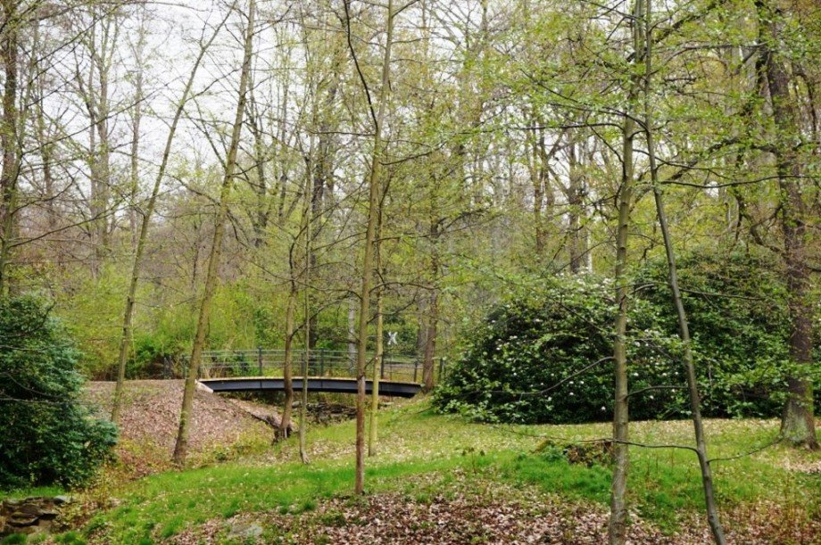 K�chwald Dachgeschosswohnung Chemnitz / Schlo�chemnitz