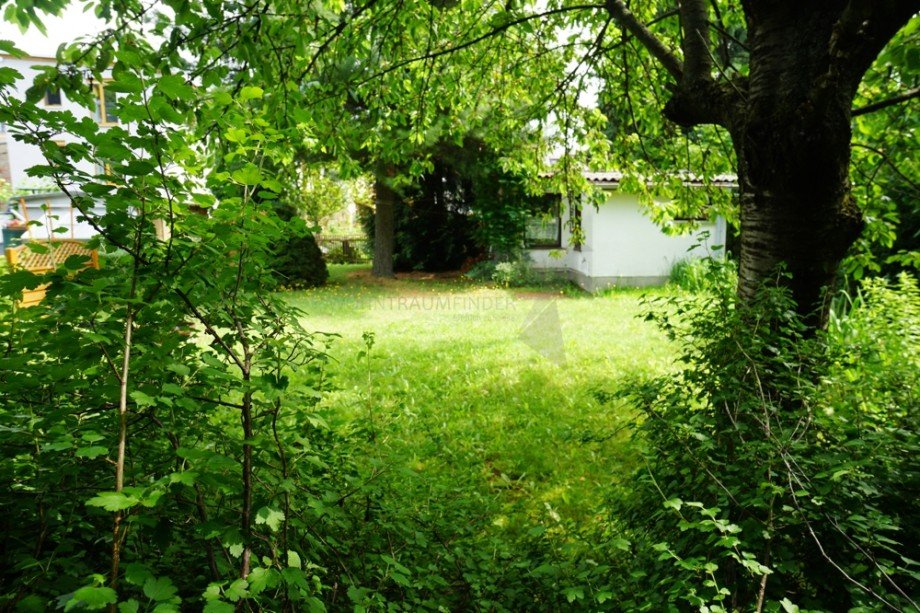 Blick in den Wohnungsgarten Dachgeschosswohnung Chemnitz - Gl�sa, Gl�sa-Draisdorf